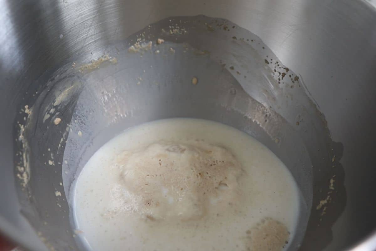 Yeast bubbles forming in a bowl with milk and sugar.