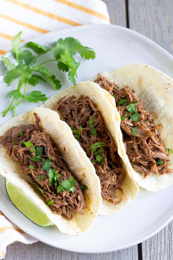 Three shredded beef tacos arranged on a white plate with a slice of lime on the side.