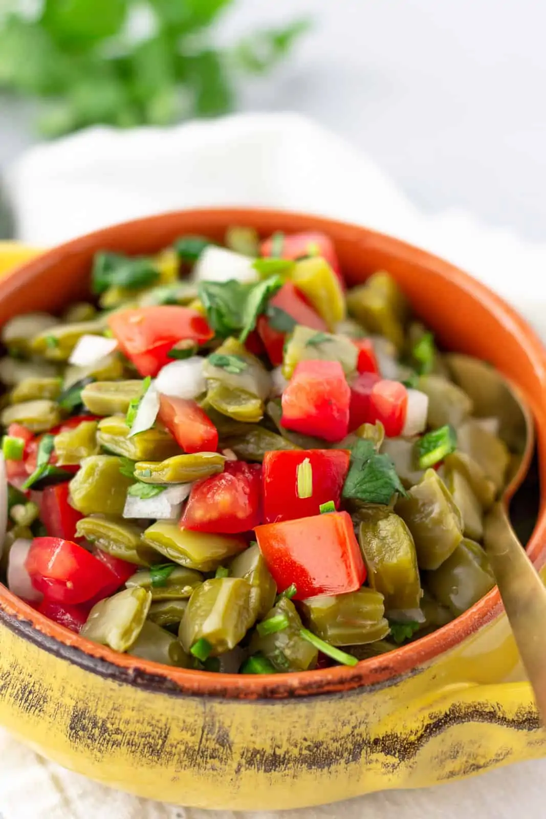 Up close view of cactus salad with chopped tomatoes, onion, cilantro, and jalapeno in a yellow bowl.