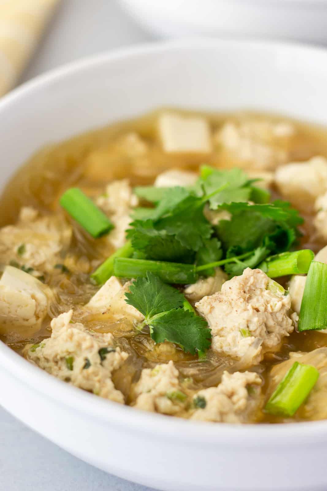 Up close view of meatballs and tofu in gang jued woon sen.