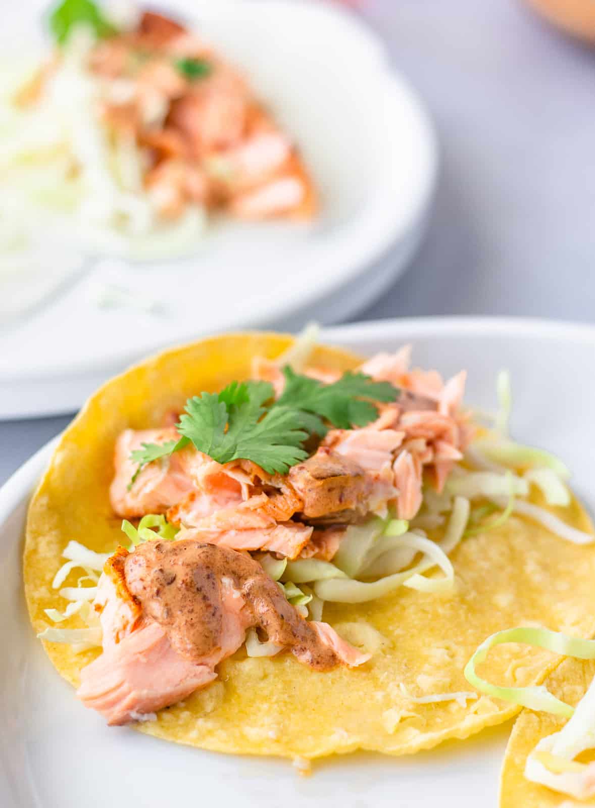 Yellow corn tortilla with flaked salmon, shredded lettuce, chipotle sauce and cilantro on a white plate.