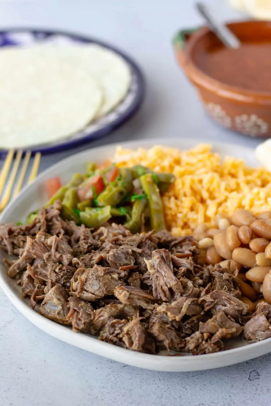Shredded beef on a plate with rice, beans, cactus salad, and a side of tortillas on a plate.