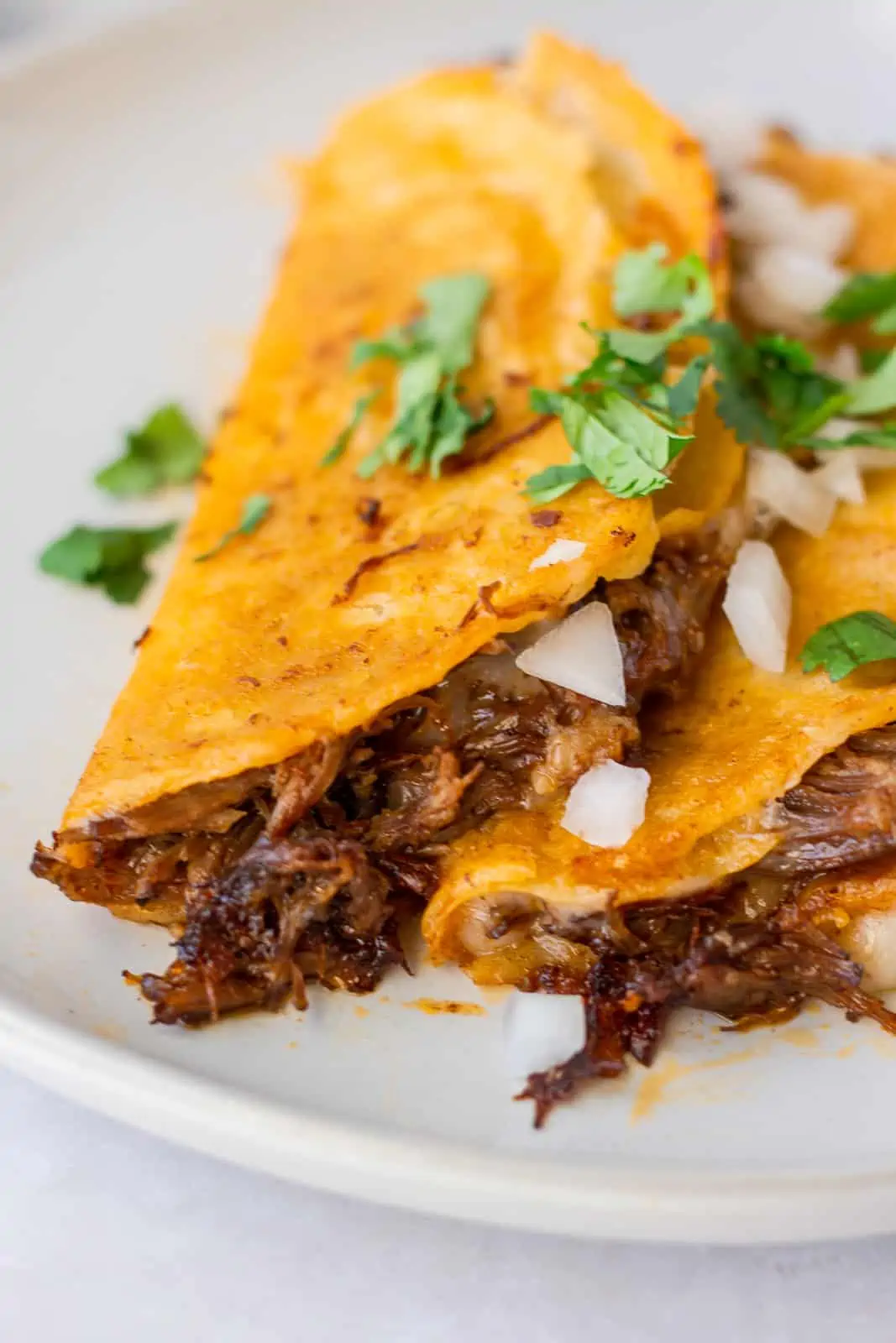 Quesabirria tacos on a plate with onion and cilantro garnish.