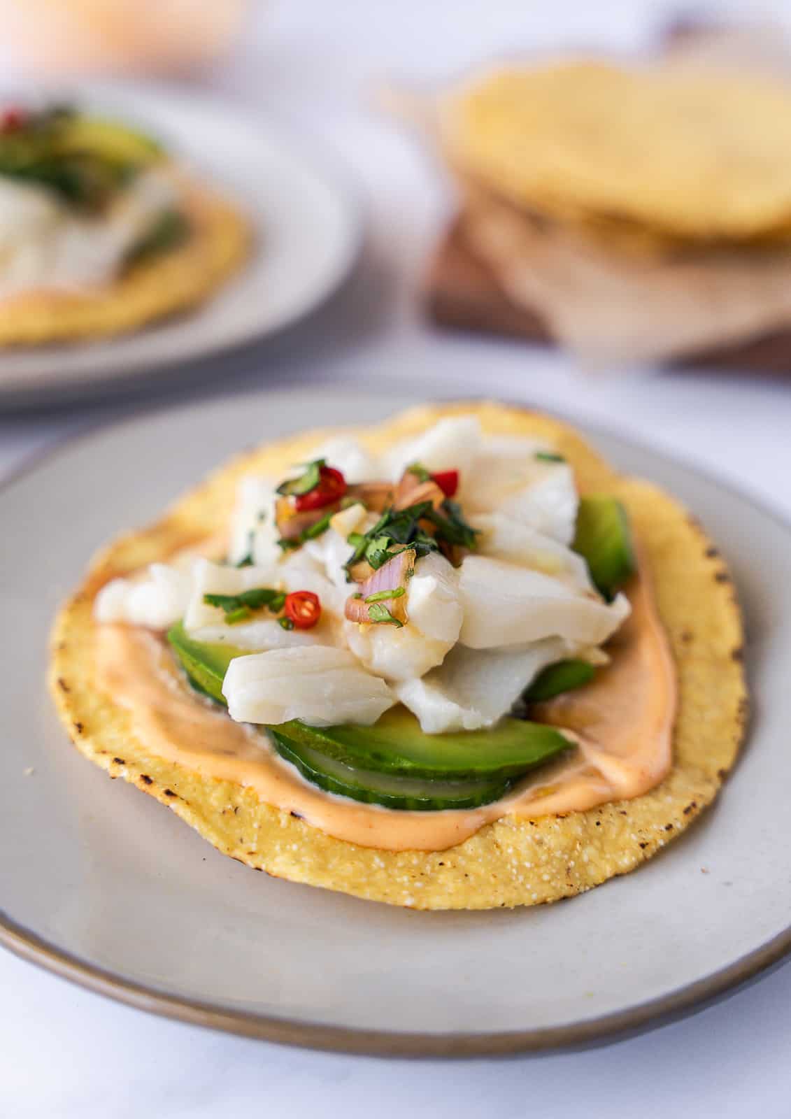 One assembled ceviche tostada on a plate.
