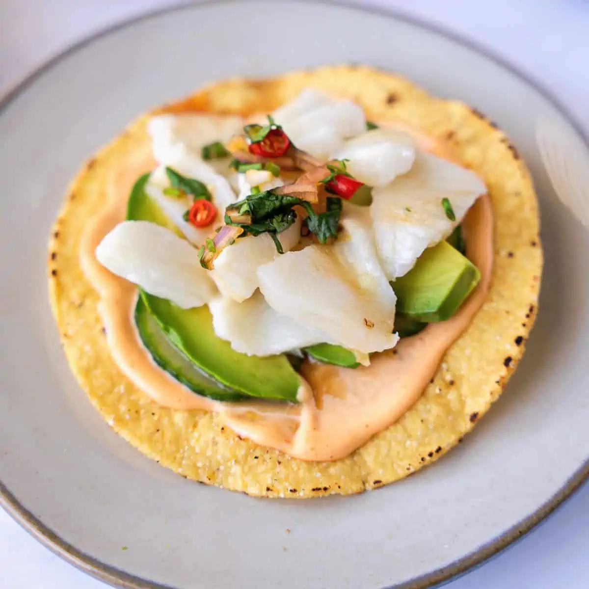 Feature image of sea bass ceviche tostada.