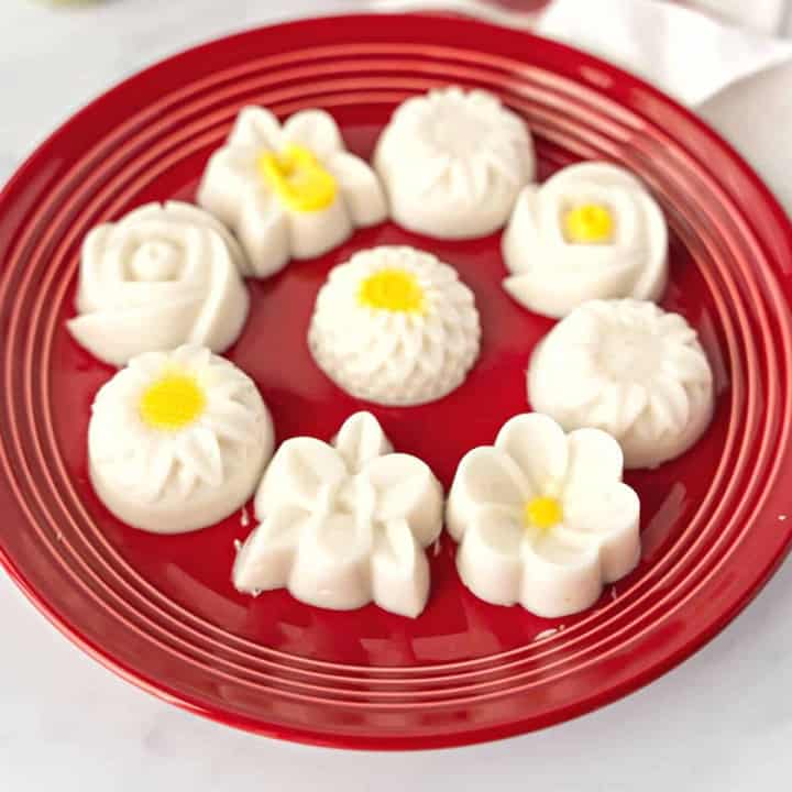 Feature image of coconut agar jelly dessert.