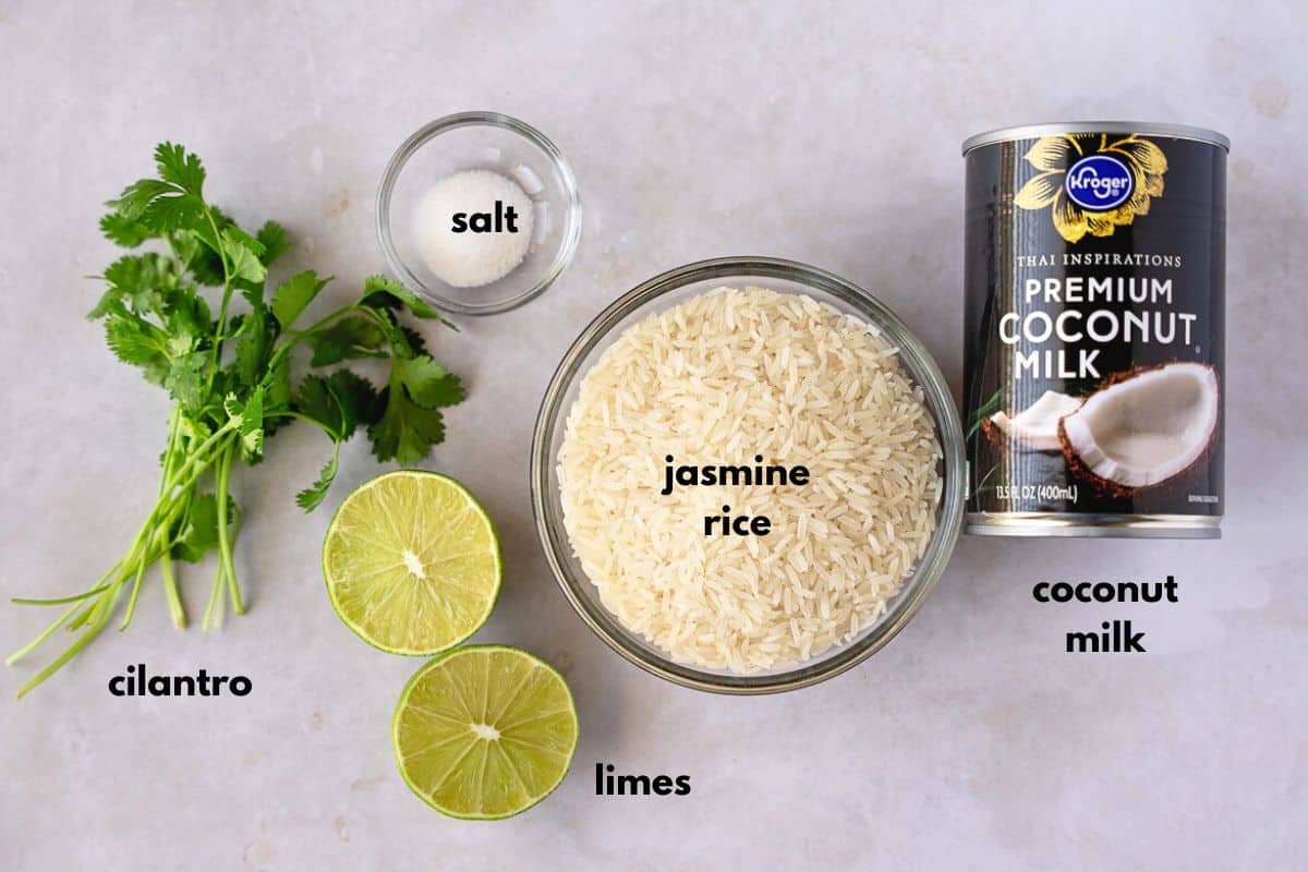 Ingredients labeled with text, (cilantro, salt, jasmine rice, limes, coconut milk).