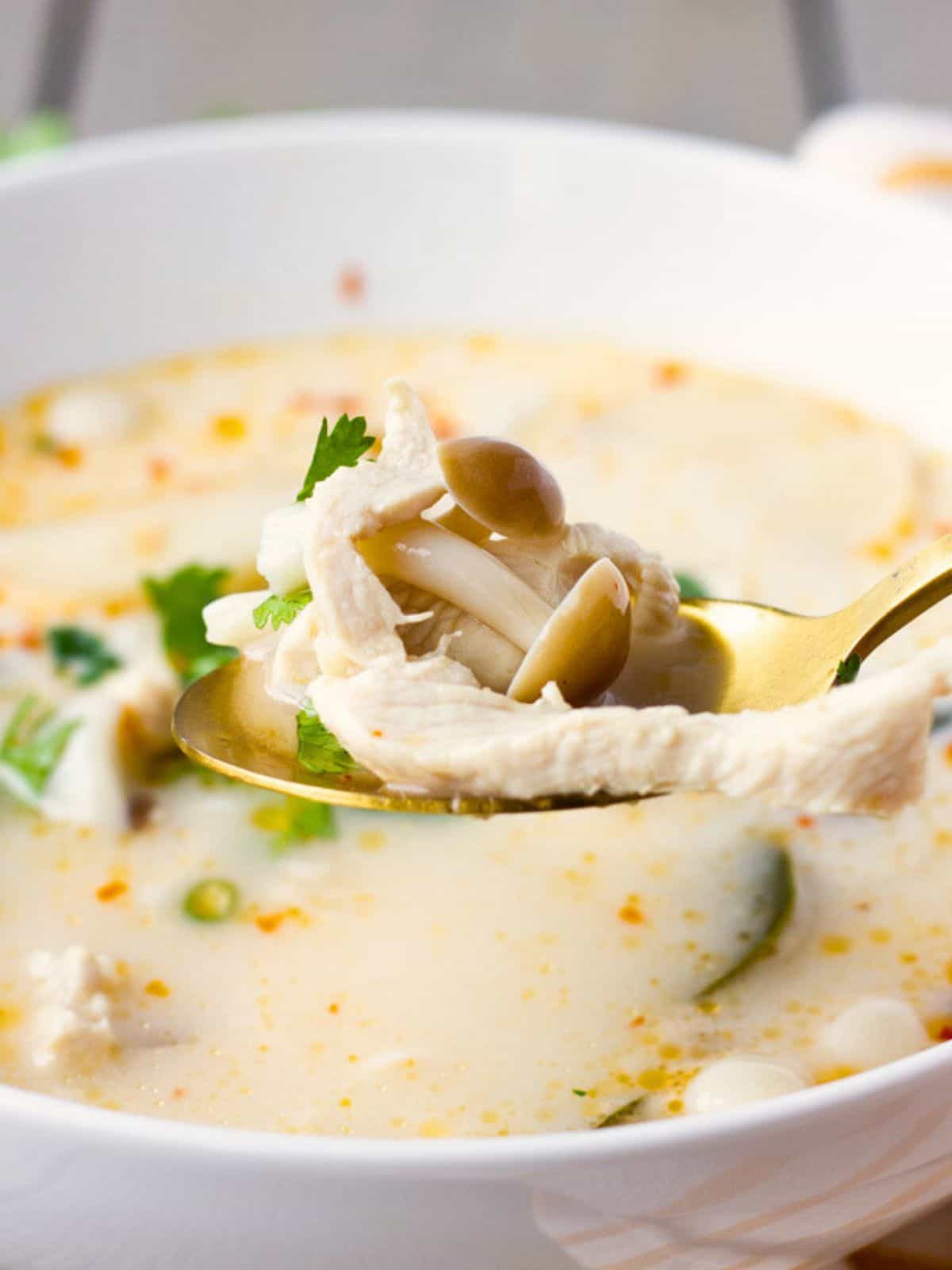 Spoon holding some chicken and mushrooms over a bowl.