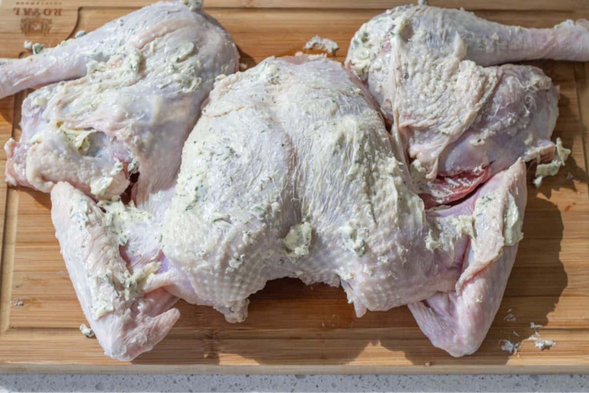 Herbed butter spread over a raw spatchcocked turkey.