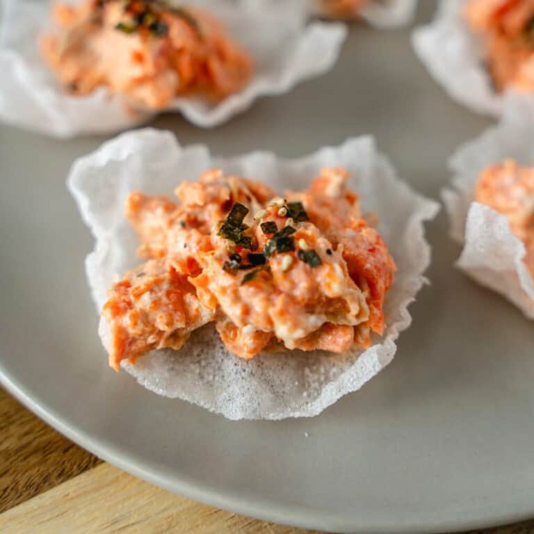 Feature image of salmon rice paper chips on a plate.
