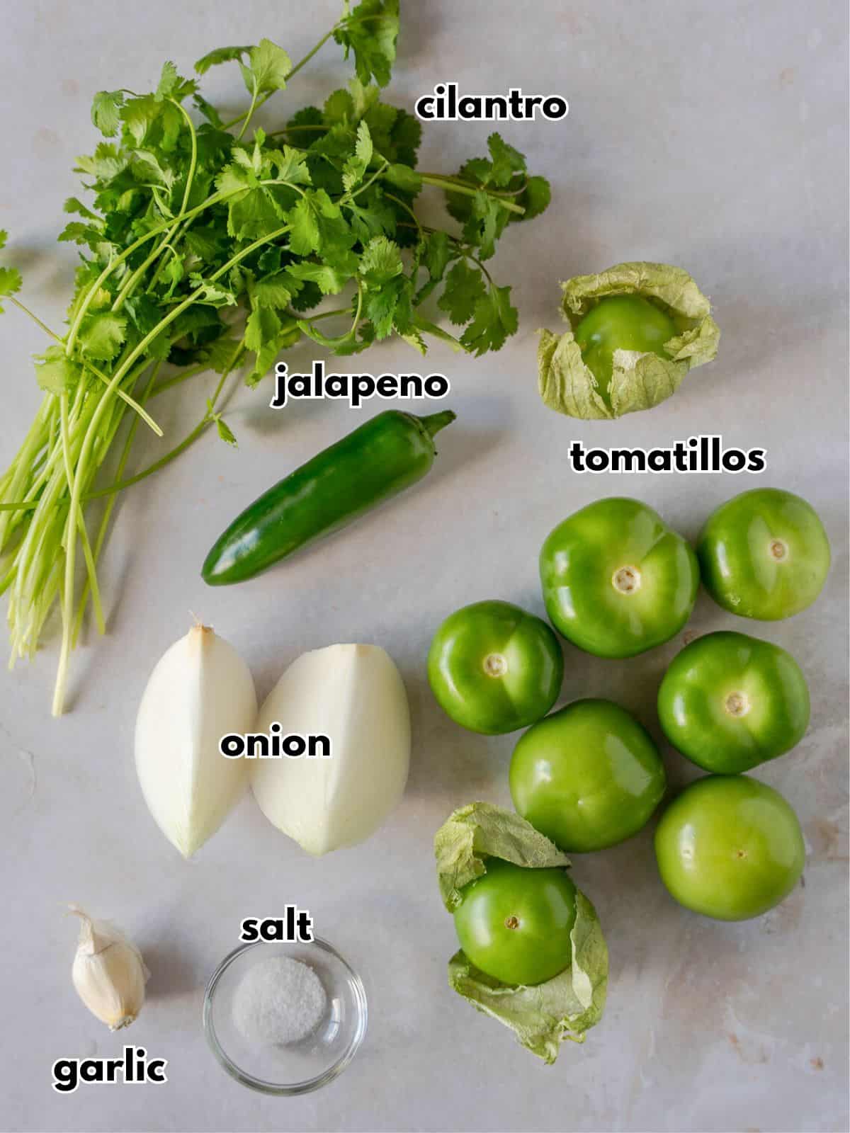 Ingredients with labels: cilantro, jalapeno, tomatillos, onion, garlic, and salt.
