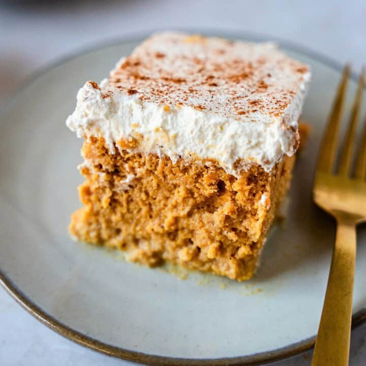 Feature image of a slice of pumpkin tres leches cake.