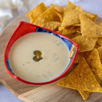 Feature image of queso blanco with chips on the side.