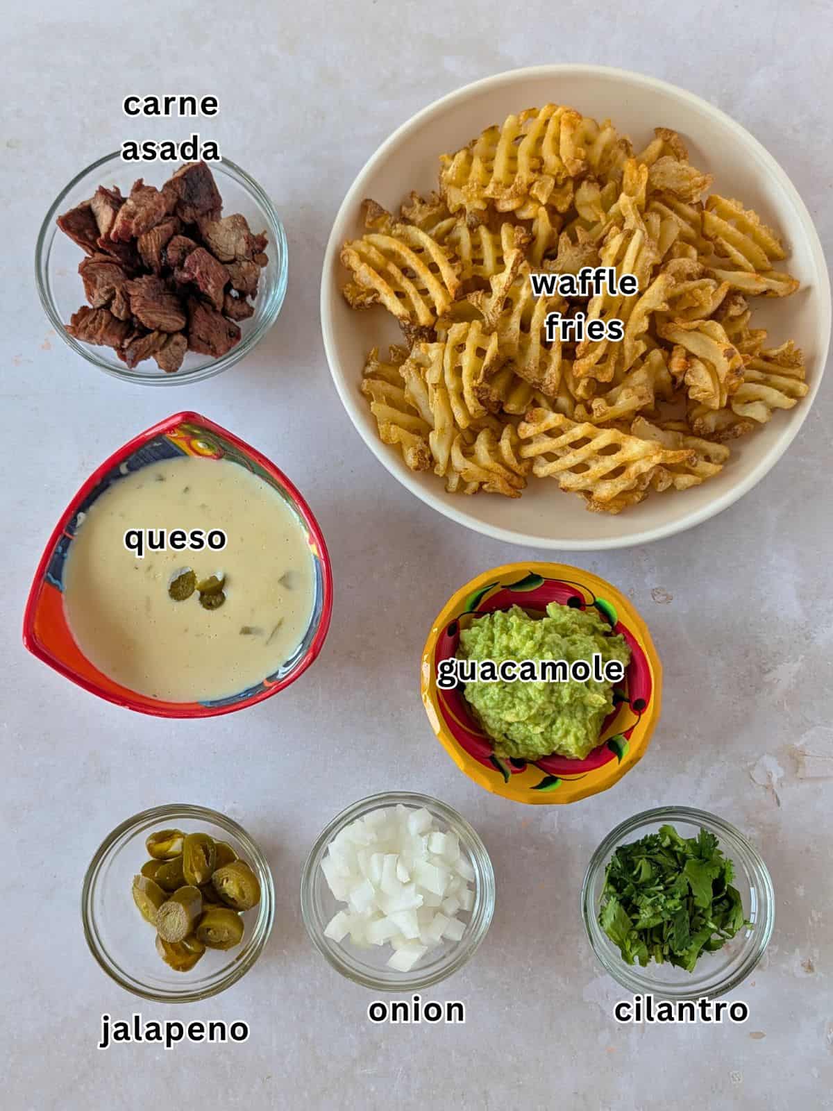 Ingredients with text, carne asada, waffle fries, queso, guacamole, jalapeno, onion, and cilantro.