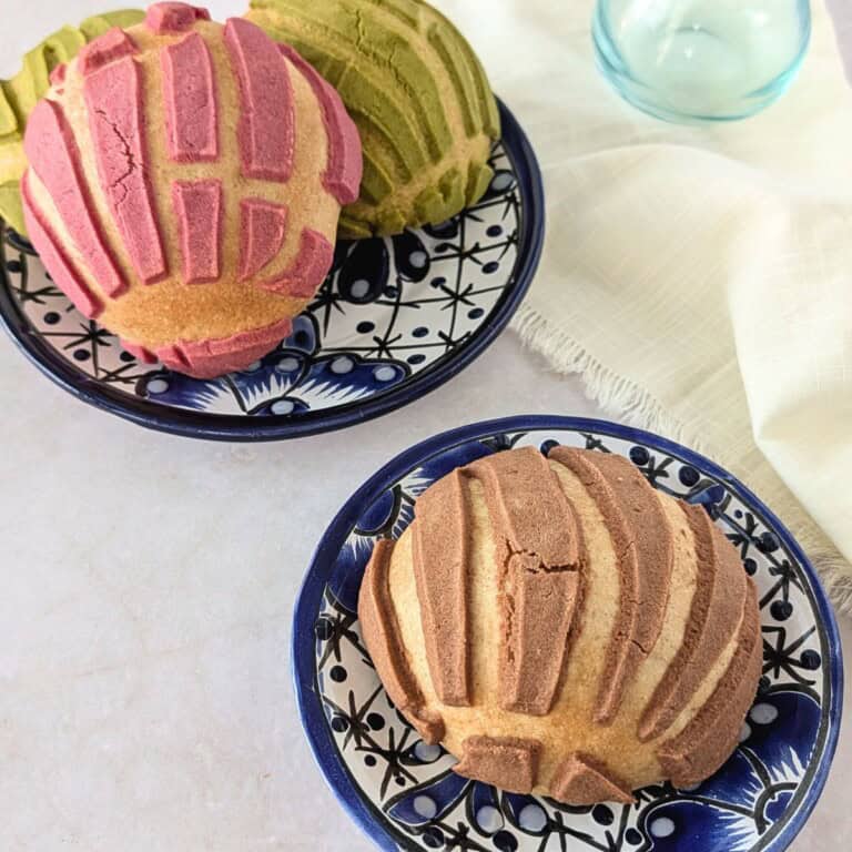 Feature image of sourdough conchas.