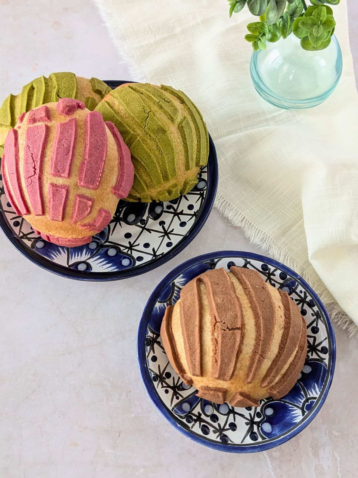Sourdough conchas on a blue mexican style plates.