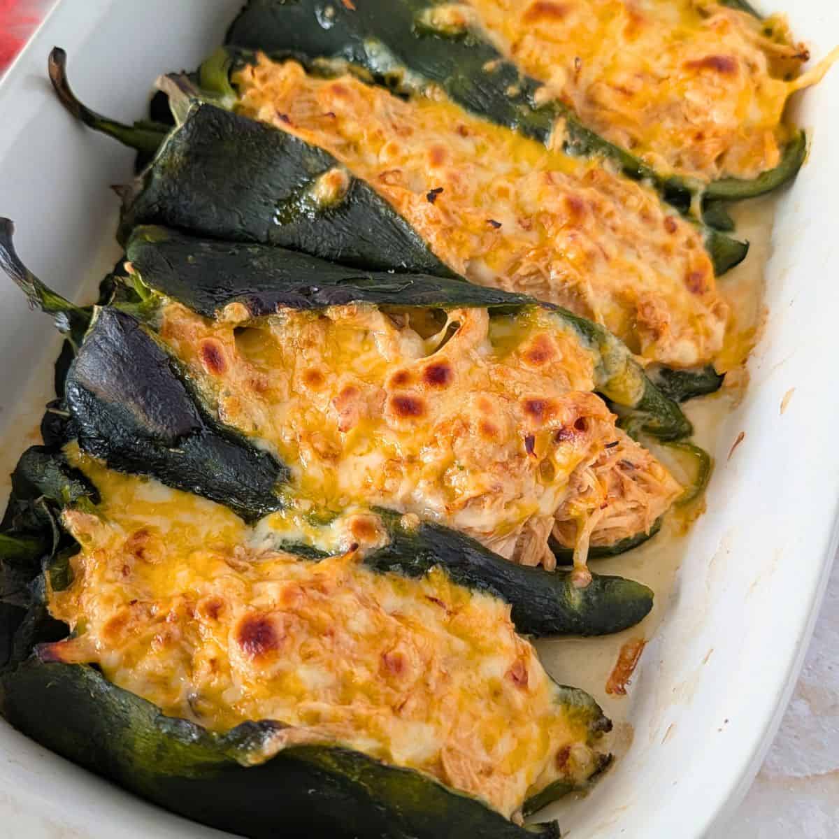 Baked chile rellenos topped with melted cheese and golden brown from the oven.