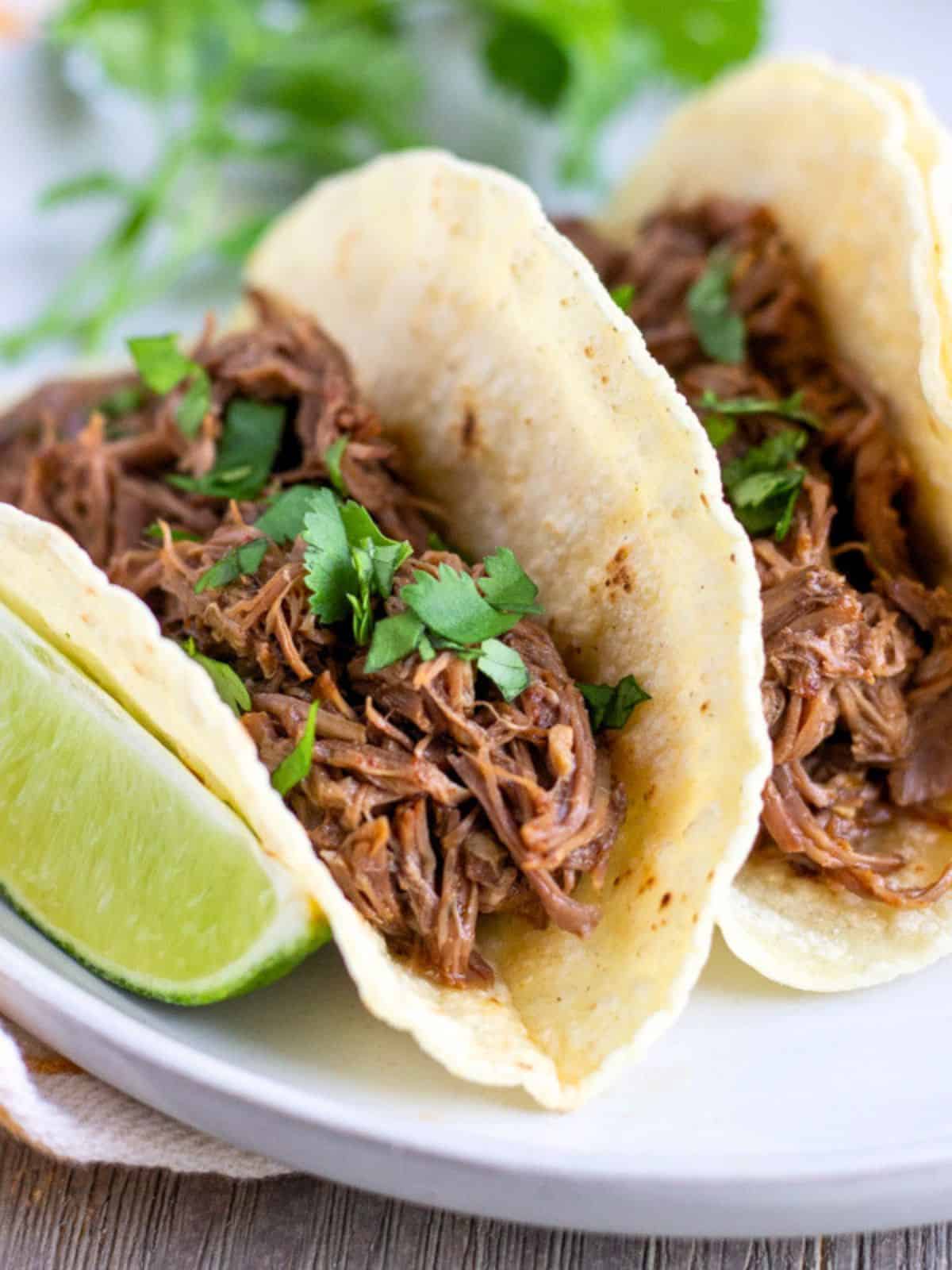 Two shredded beef tacos on a plate.